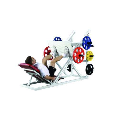 Inverted Leg Press FW-20