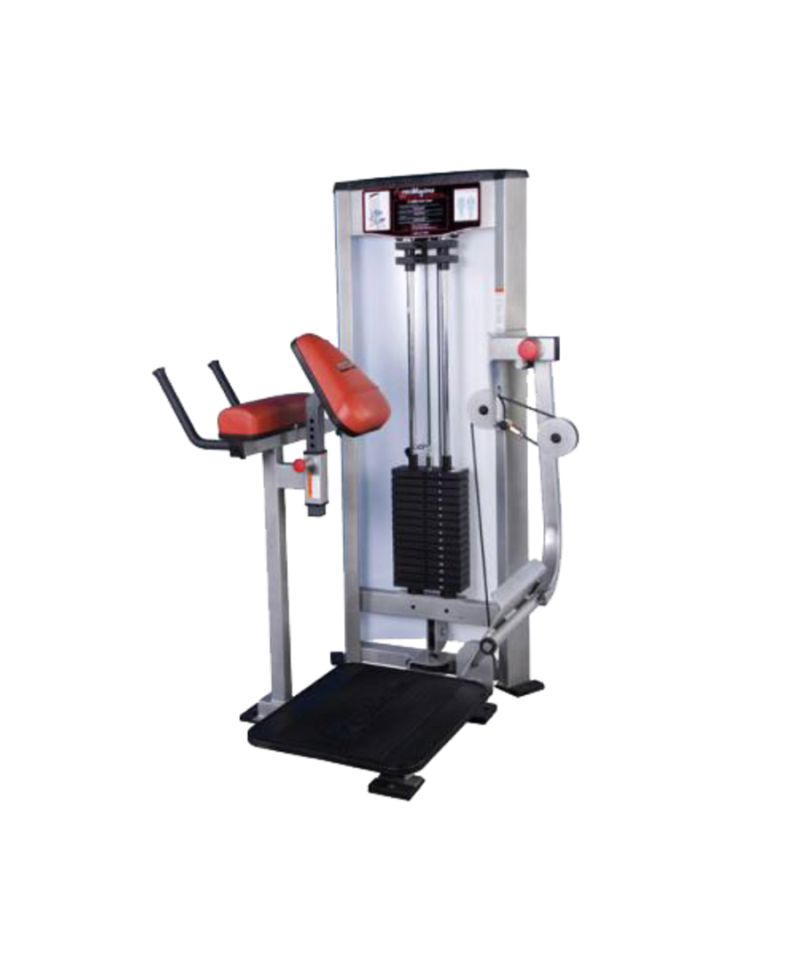 Ham Netter Machine Raptor P-5400 Glute Ham Developer | Strength Training Machine