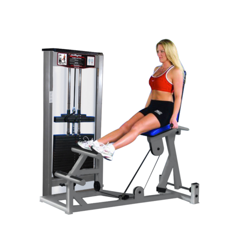 RAPTOR P-5950 Seated Calf