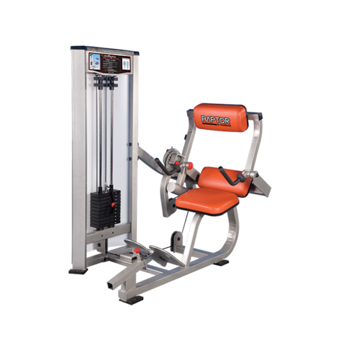 Raptor P-6000 Low Back Extension machine