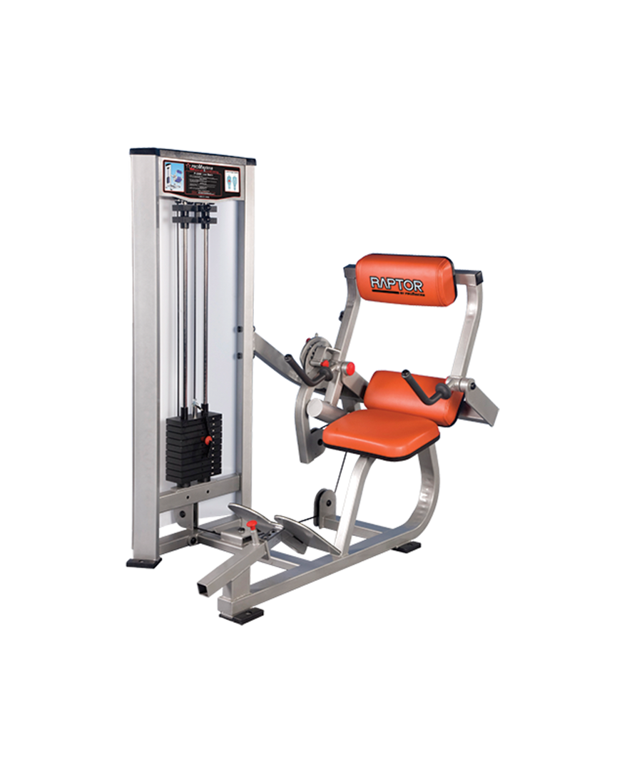 Raptor P-6000 Low Back Extension machine