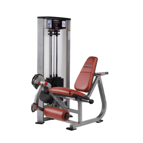 Raptor Leg Extension