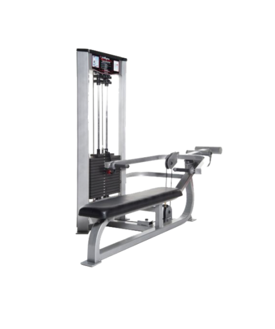 Raptor P-1050 Horizontal Bench Press machine
