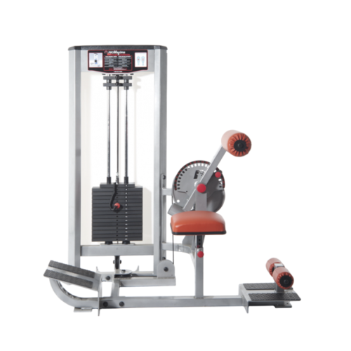 Raptor P-6550 Abdominal/Back Extension