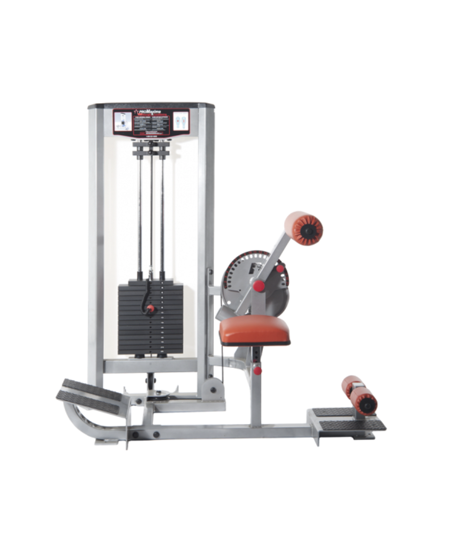 Raptor P-6550 Abdominal/Back Extension