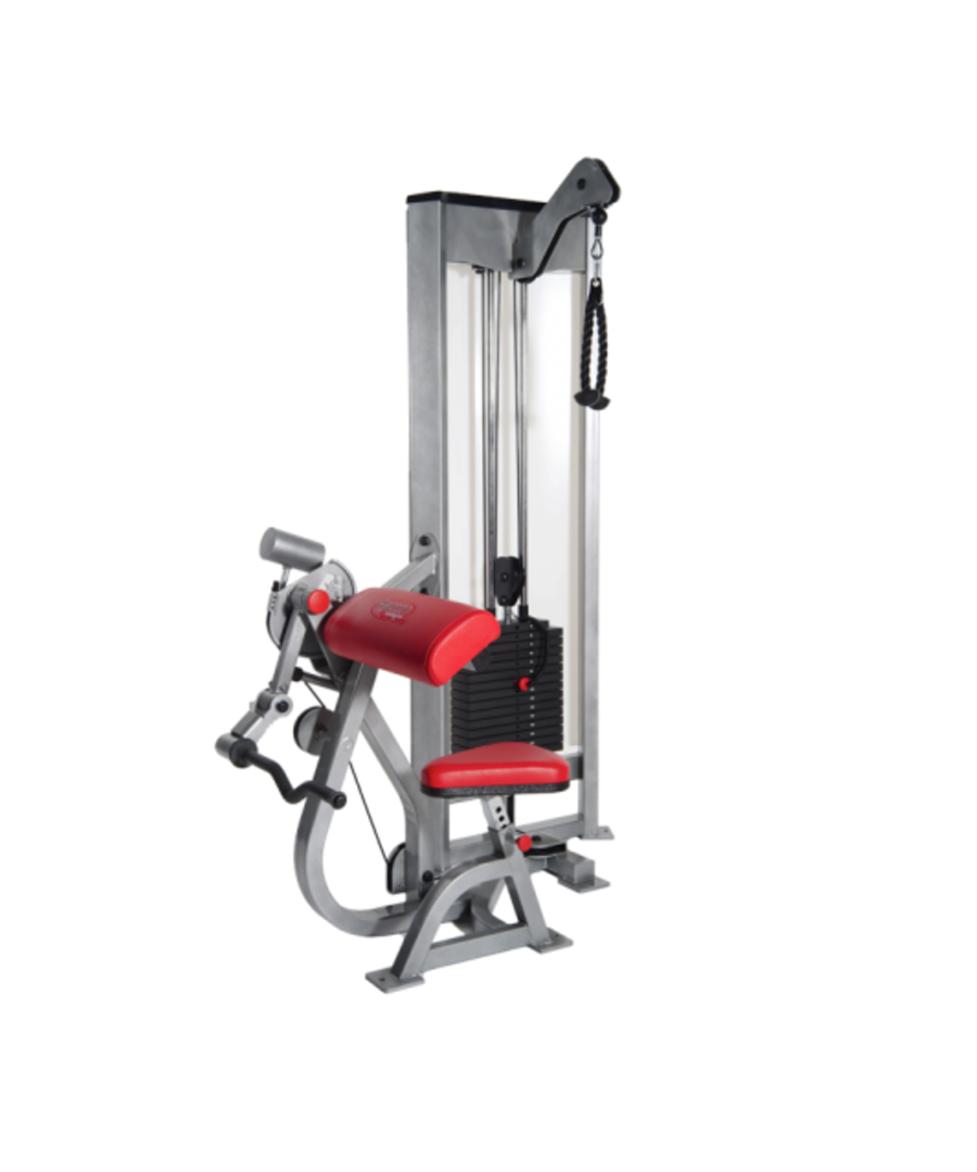 Raptor P-3350 Arm Curl