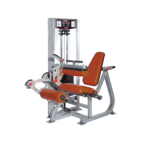 Raptor P-5500 Dual Leg Extension/Leg Curl