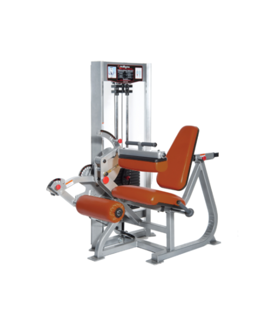 Raptor P-5500 Dual Leg Extension/Leg Curl
