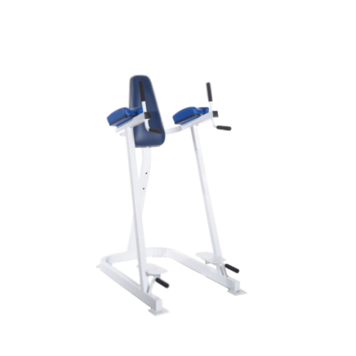 PLR-490 HIP FLEXION / DIP STATION / PUSH UP