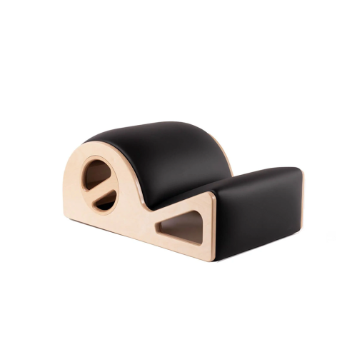 Premier Spine Corrector