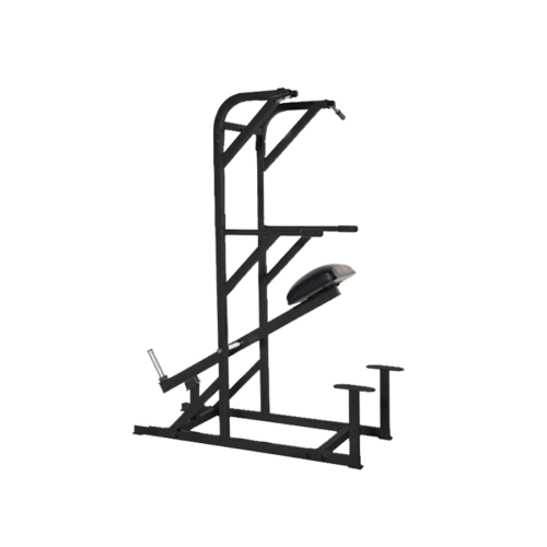 PL-26 WEIGHT ASSISTED CHIN & DIP