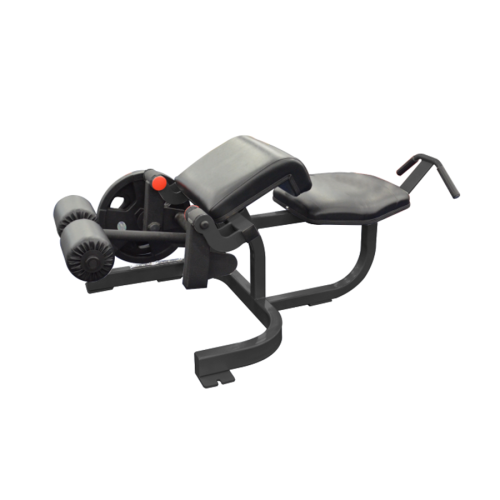 RPL-46 PRONE LEG CURL