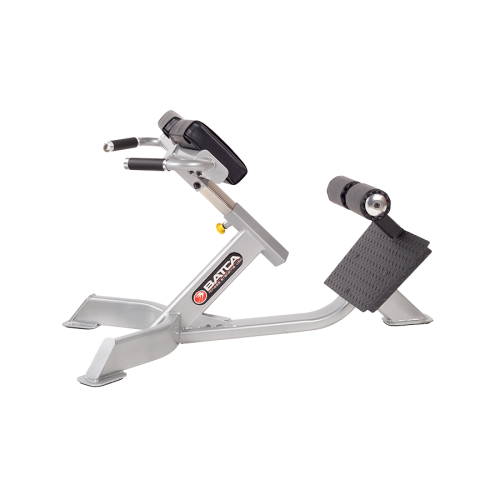 45 Degree Back Extension