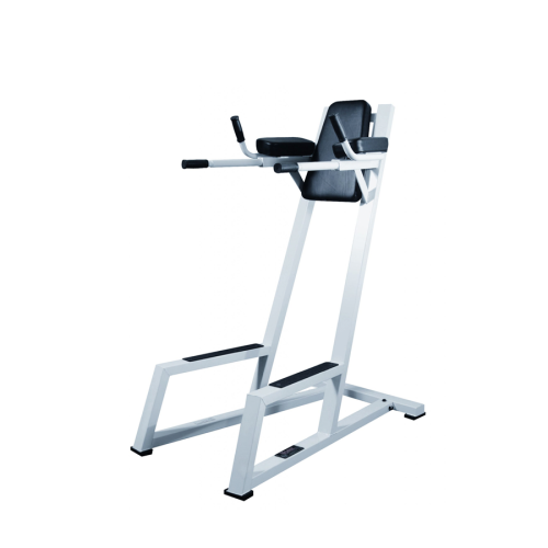 Vertical Knee Raise / Dip