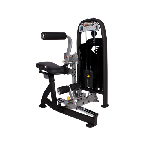 Link Ab Crunch / Back Extension