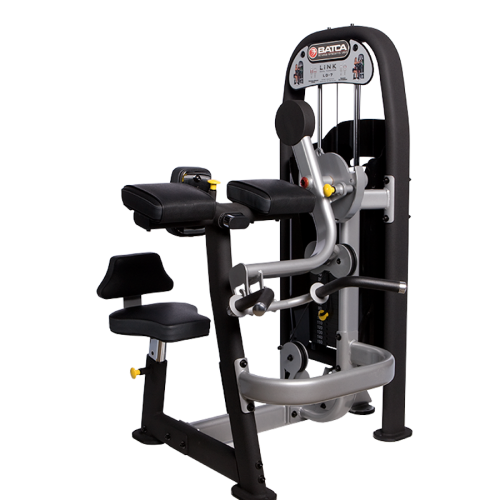 Link Seated Bicep Curl / Tricep Extension