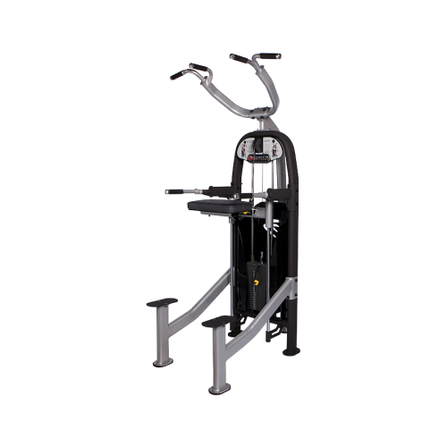 Link Weight Assisted Chin / Dip